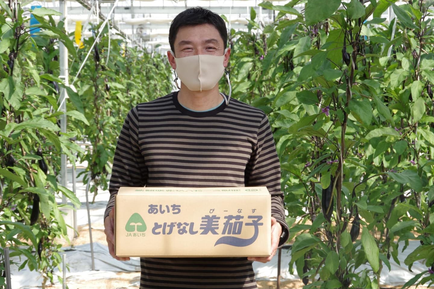 味わい深い木製建具と暖簾が目印。
