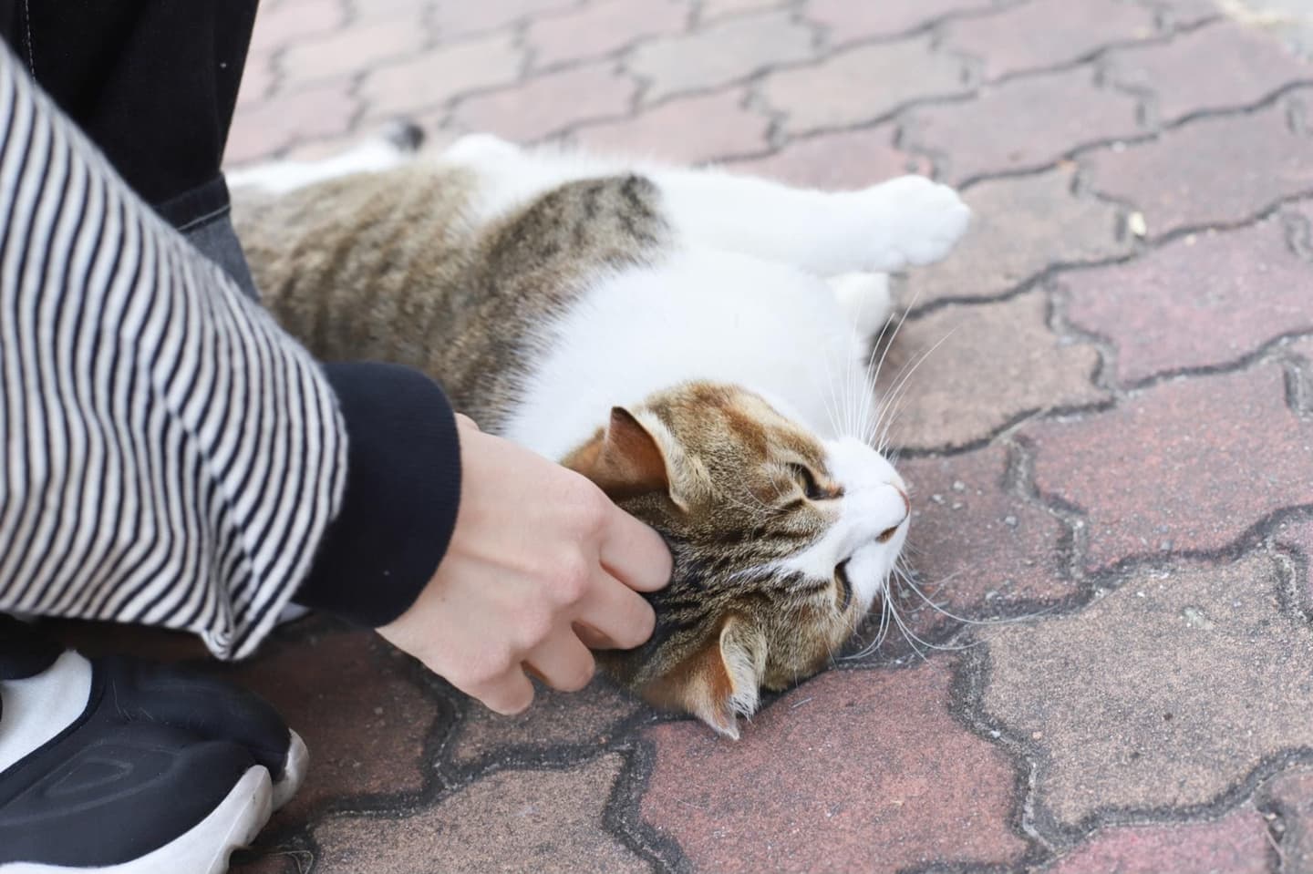 繭から作られた絹を使ったかばん
