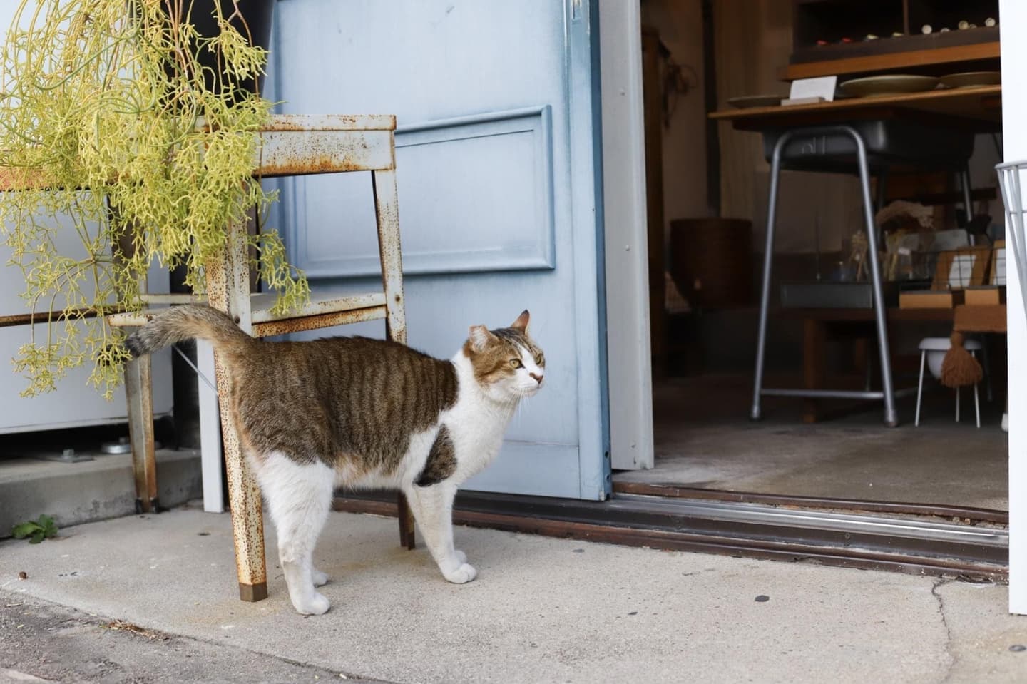 繭から作られた絹を使ったかばん