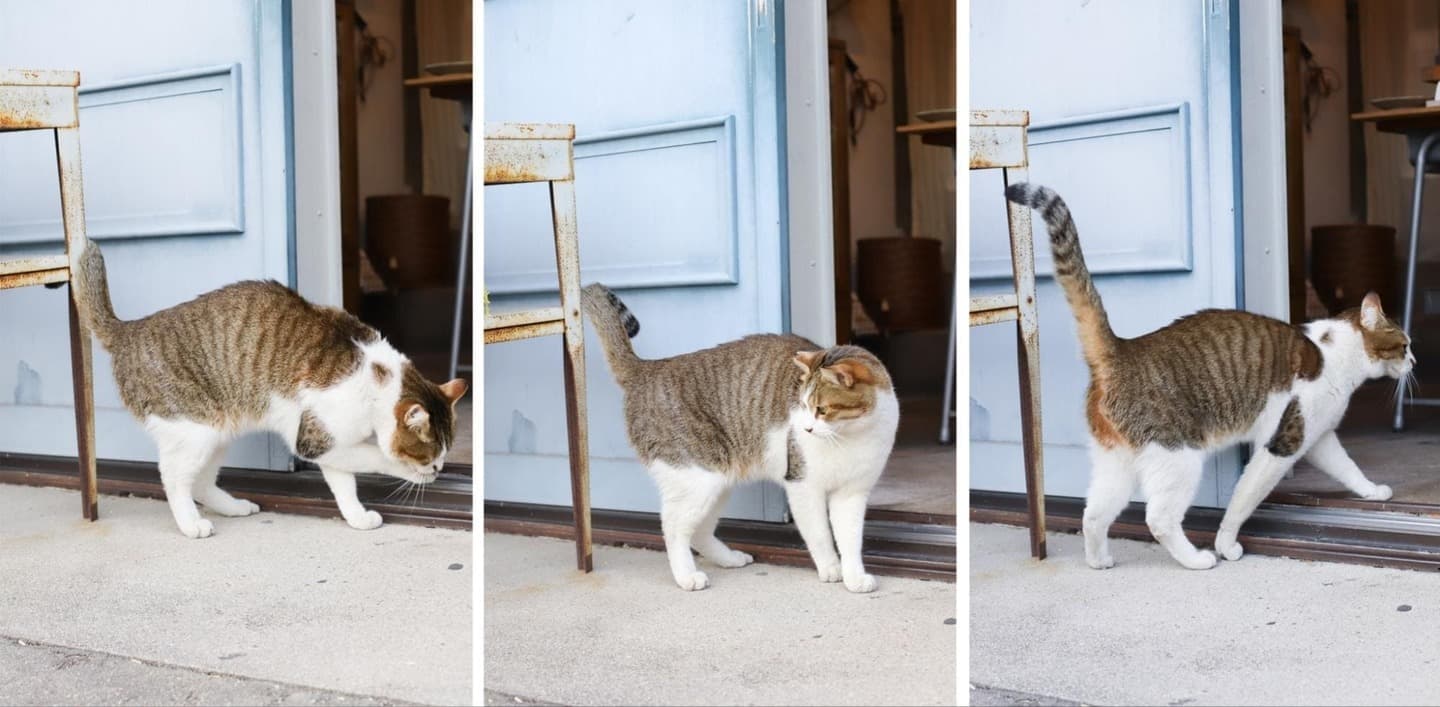 繭から作られた絹を使ったかばん