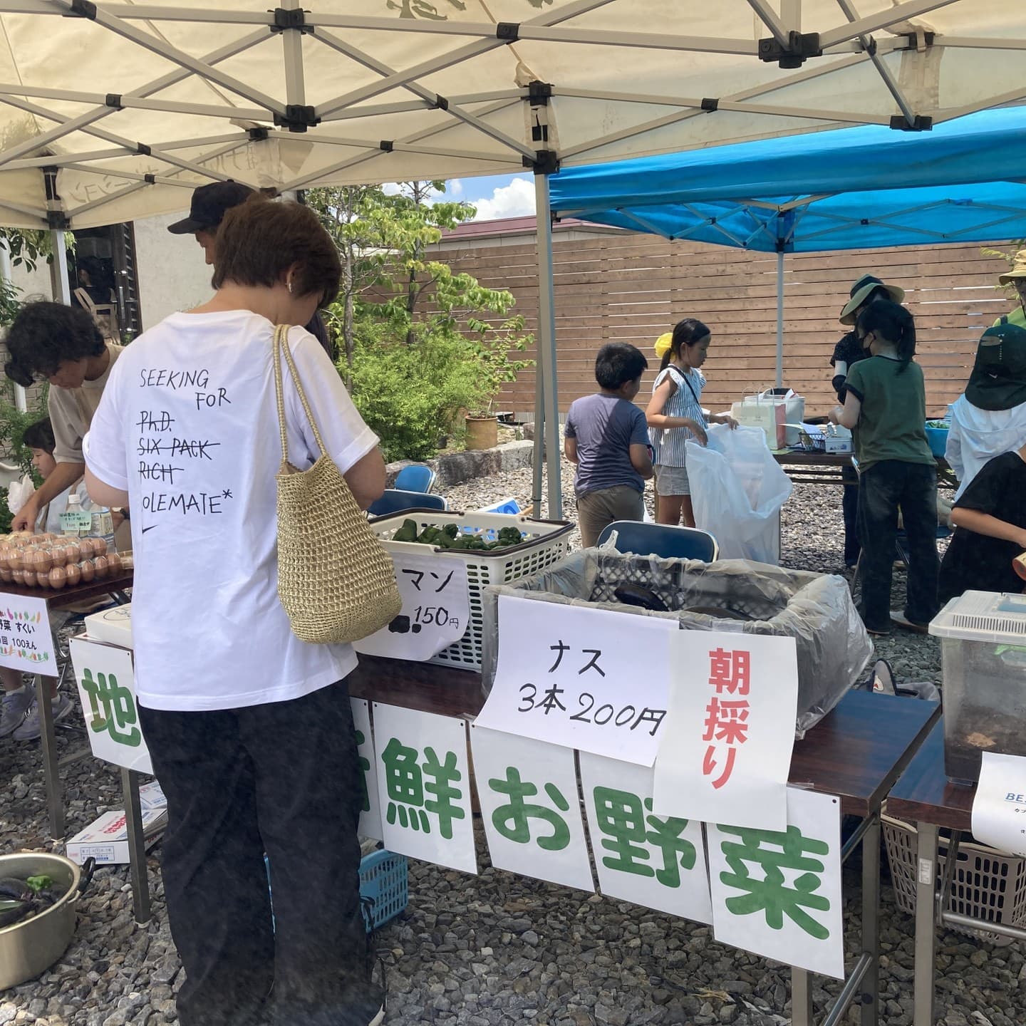 soup.外観